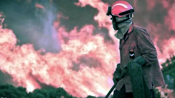 É horrível! Somos (quase) todos culpados. Na Península arderam mais de 6.000 Km2 4 Fogos