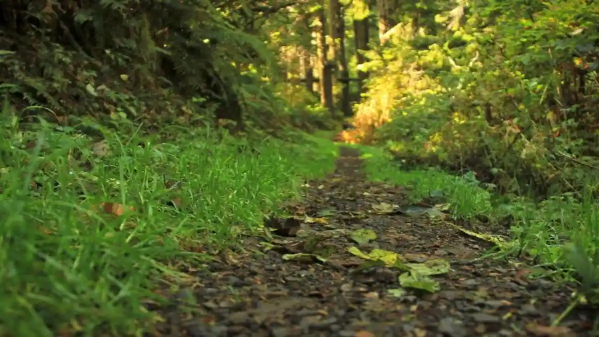 SPEA políticas ambientais UE 2026